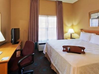Hampton & Phoenix-goodyear Hotel Goodyear